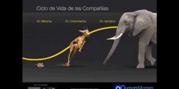 Cómo Escalar tu Negocio sin Morir en el Intento