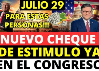 Hawley propone legislación para cheques de reembolso tras interés de Trump