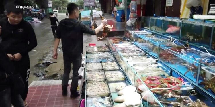 Huang promete acelerar la recuperación en China tras la reapertura del mercado H20