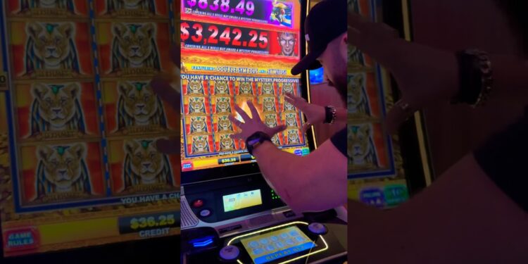 Night Owl Video apuesta por medios físicos en la era digital