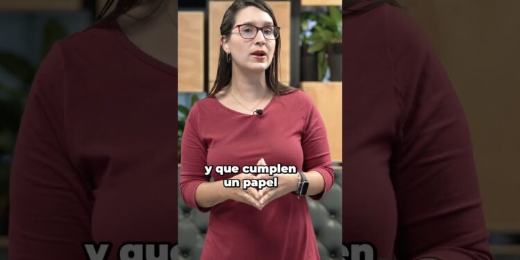 Surge AI se consolida como líder en etiquetado de datos sin capital de riesgo