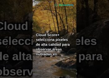 Zhou Chaonan financia startup de IA para monitoreo ambiental en tiempo real
